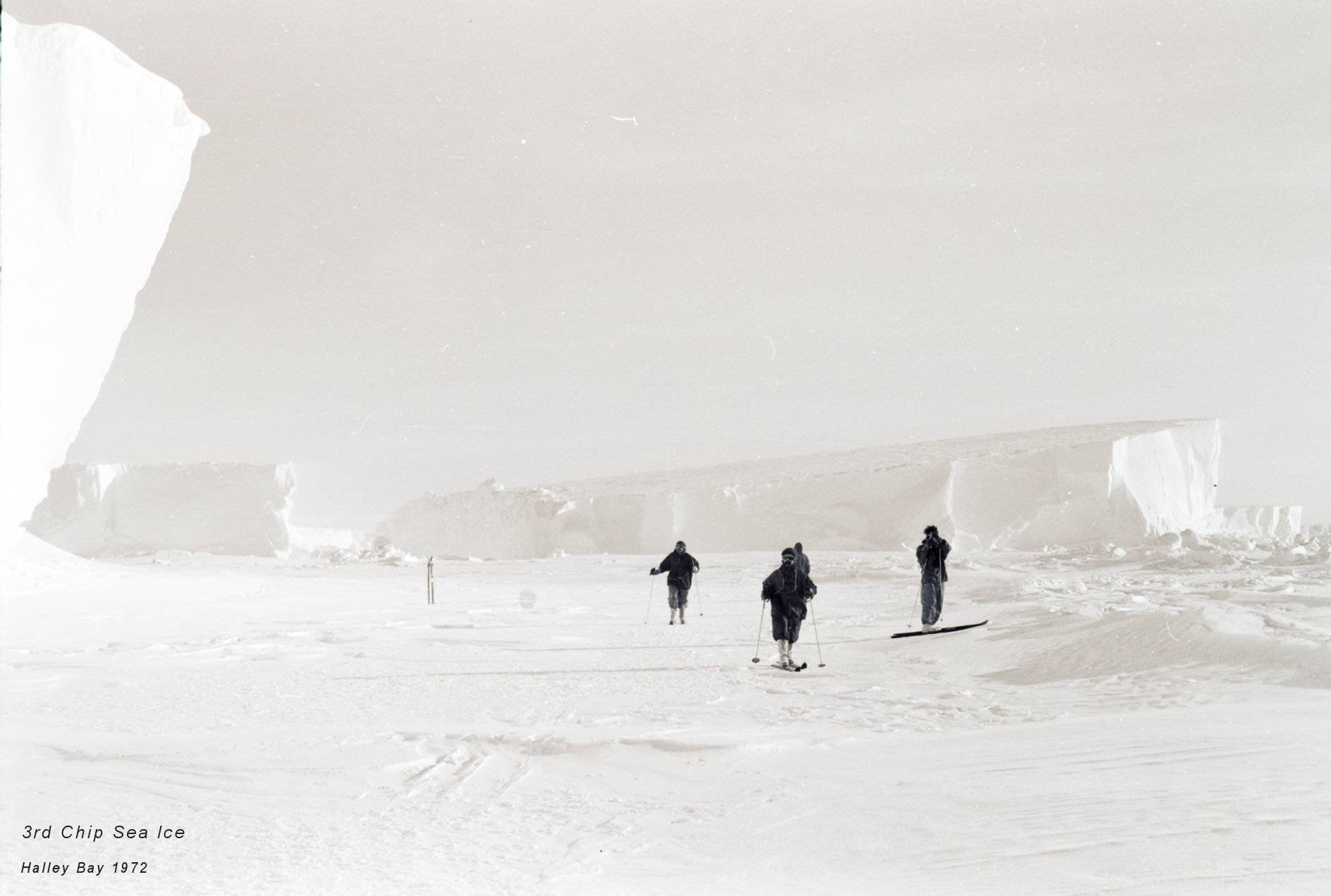 3rd Chip Sea Ice (2)